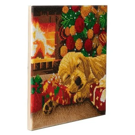 CAK-A166M: Sleeping Labrador Pup Crystal Art 30*30cm Canvas