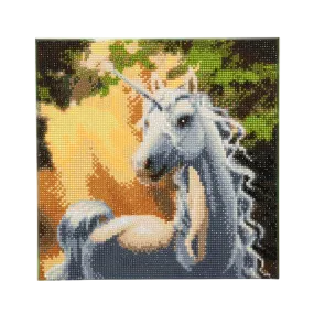 CAK-A34: "Sunshine Unicorn " Framed Crystal Art Kit 30 x 30cm (Medium)