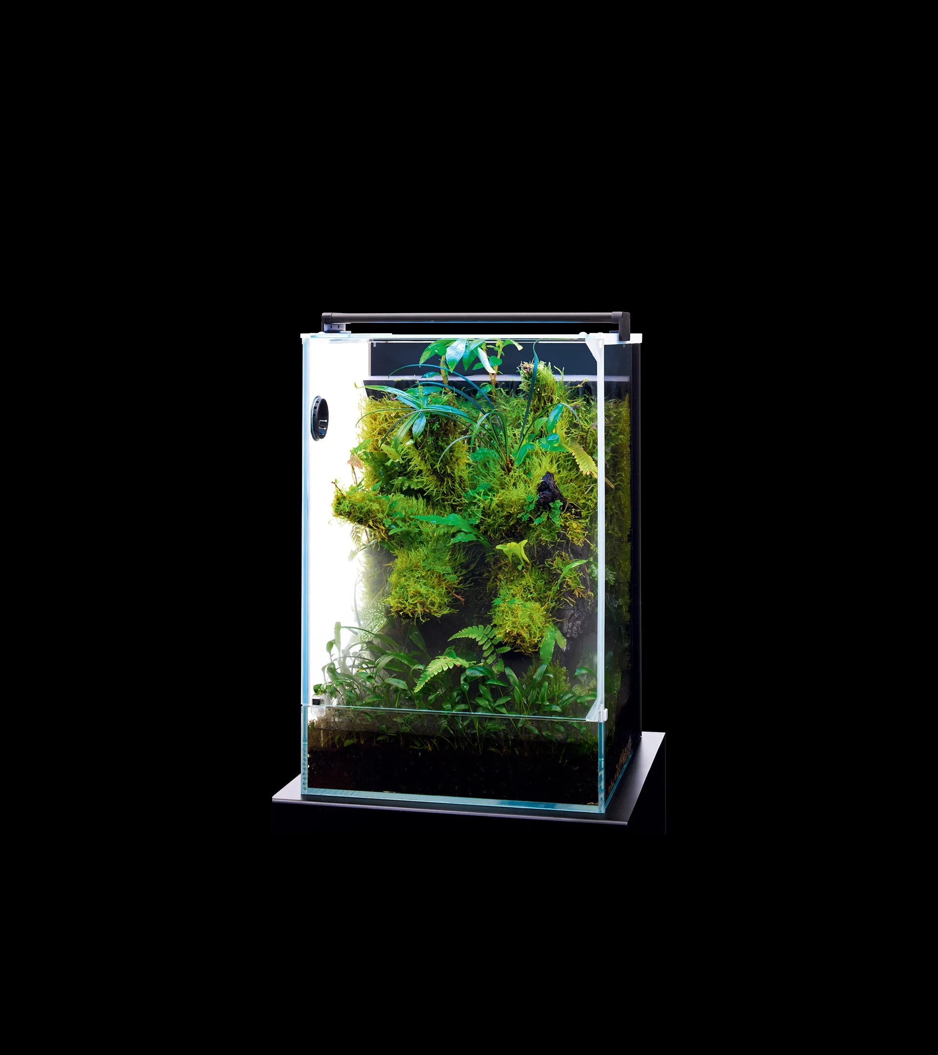 DOOA System Paluda 30