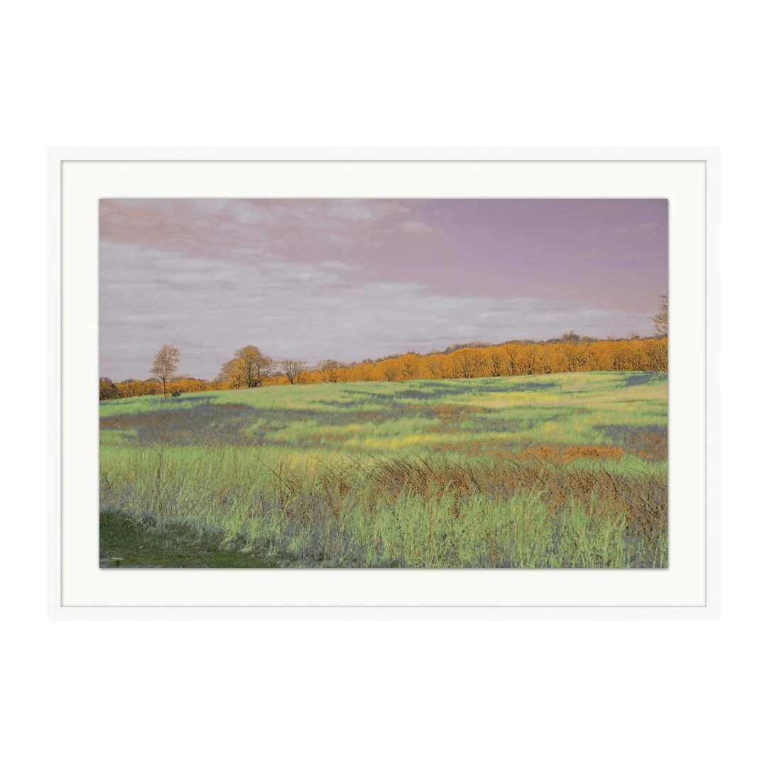 Fields Of Color 1