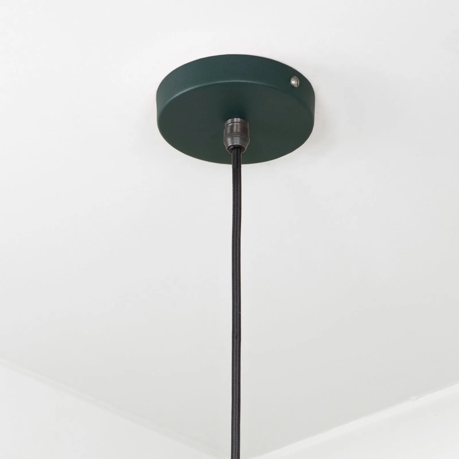 Flora Ceiling Light in Dingle