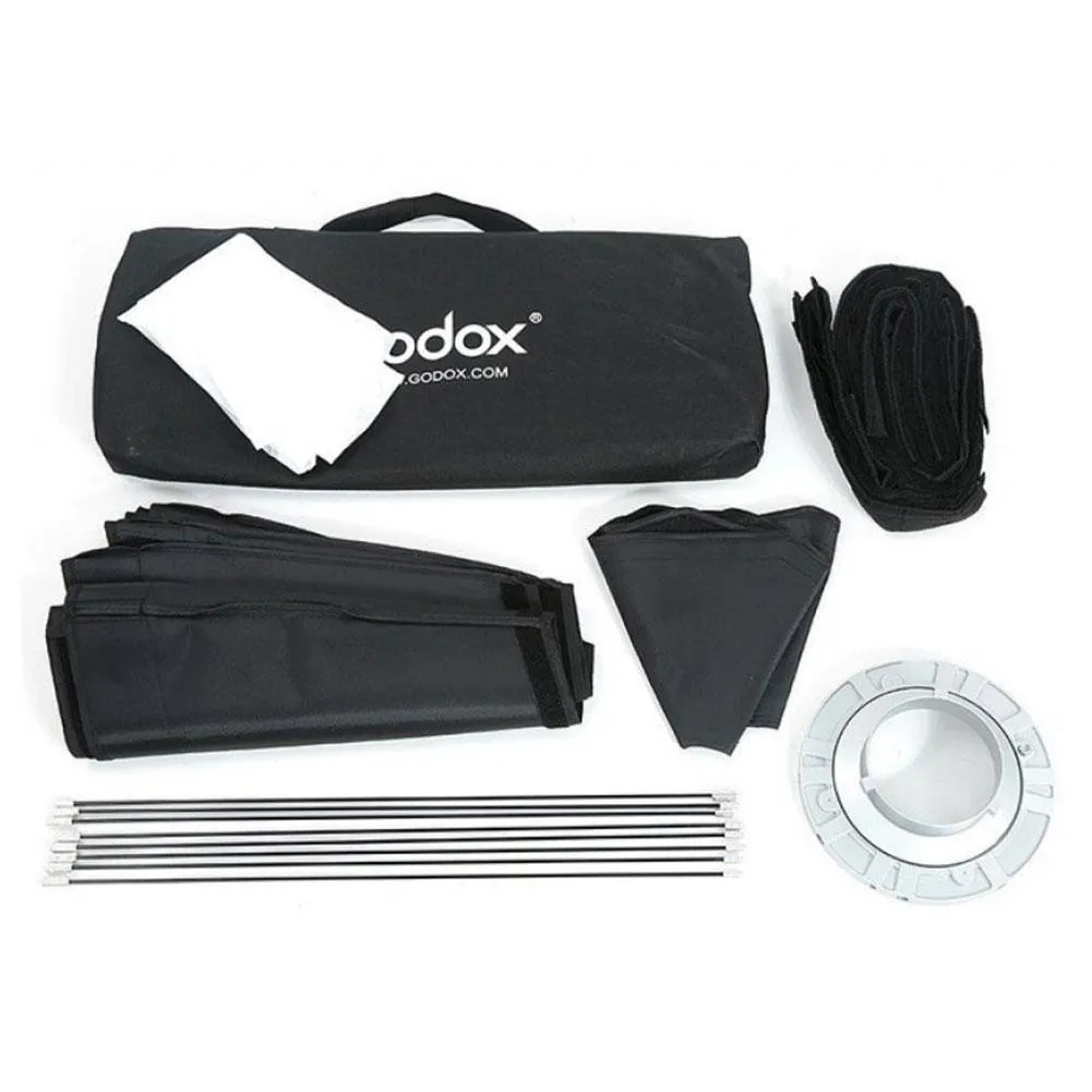 Godox 'Home Studio' Starter 600W (2 x MS300-V) Studio Flash Lighting Photography Kit - Bundle