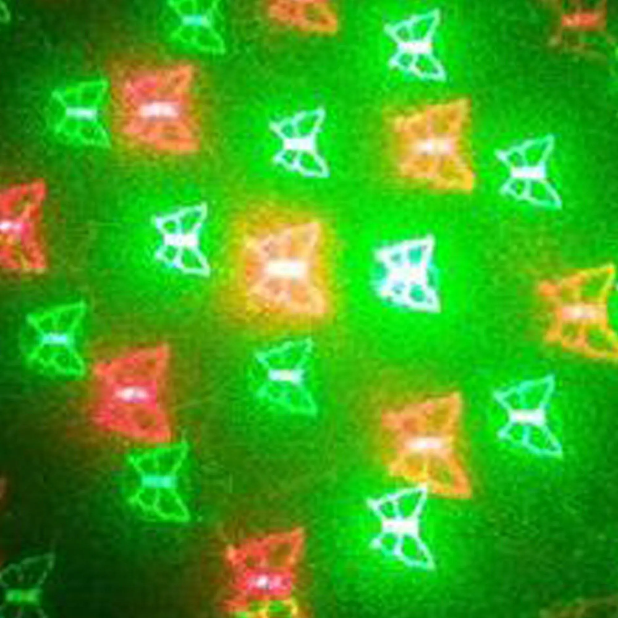 Holiday Light Projectors with Red and Green 12 Patterns