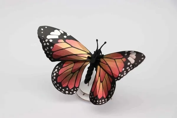Monarch Butterfly Kit