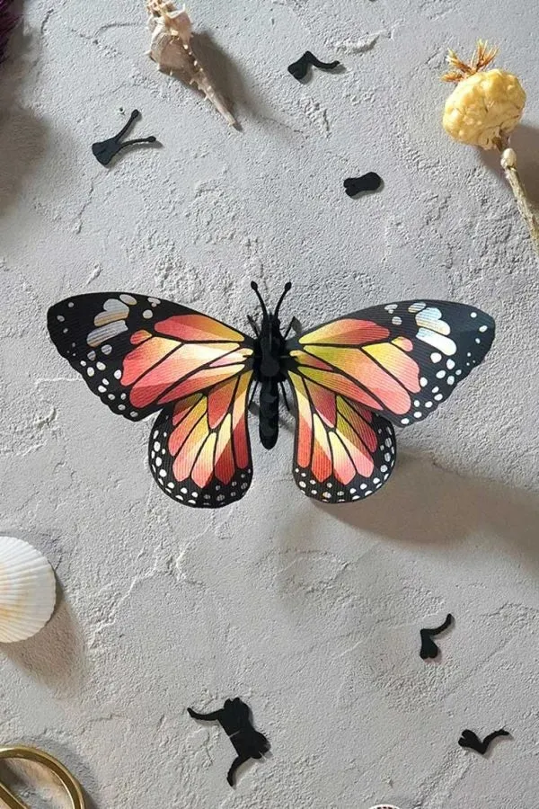 Monarch Butterfly Kit