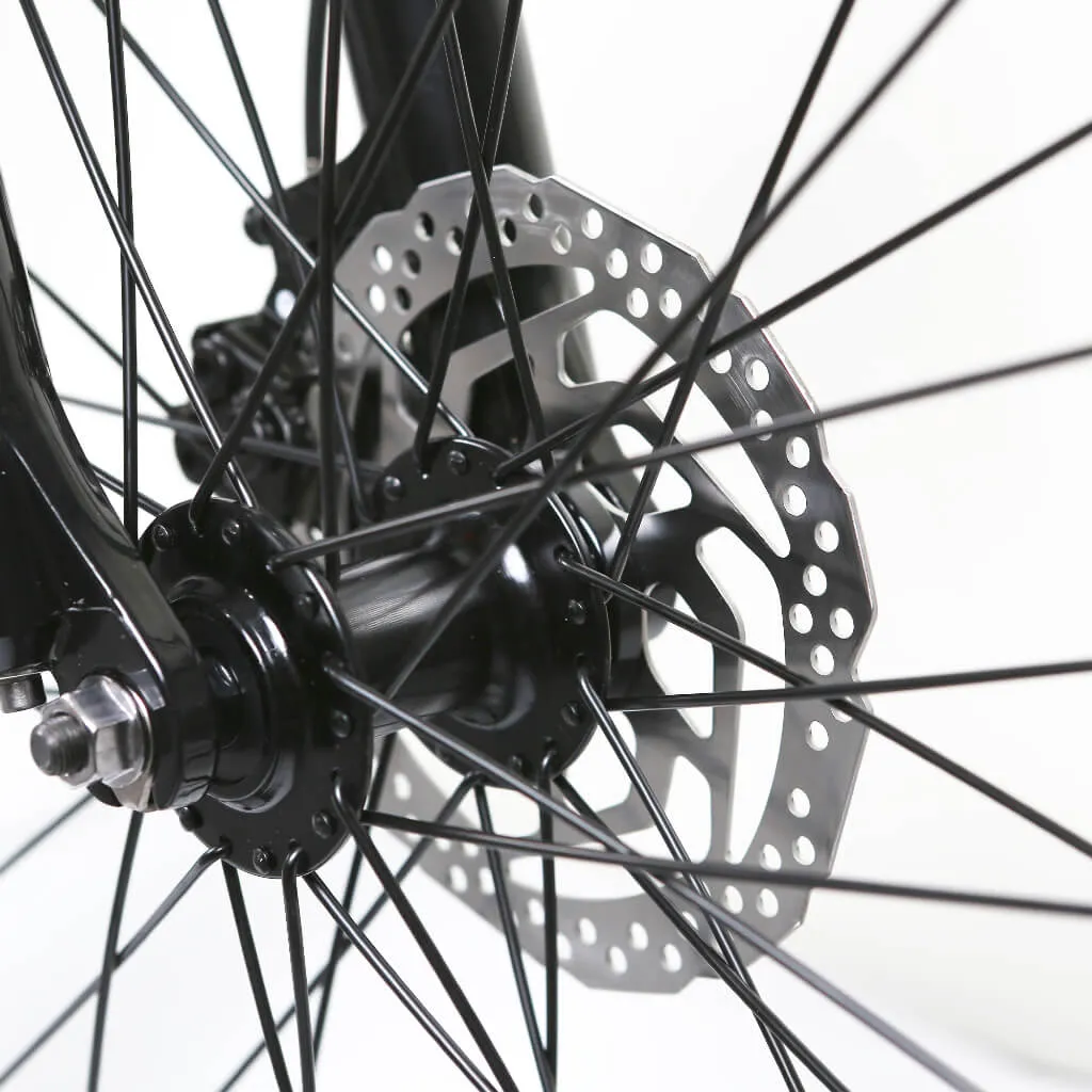 Nakto 26" Santa Monica 500W, 48V Cruiser Electric Bike