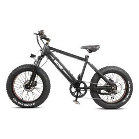 Nakto Discovery 20" Fat Tire 350W 48V Electric Bike