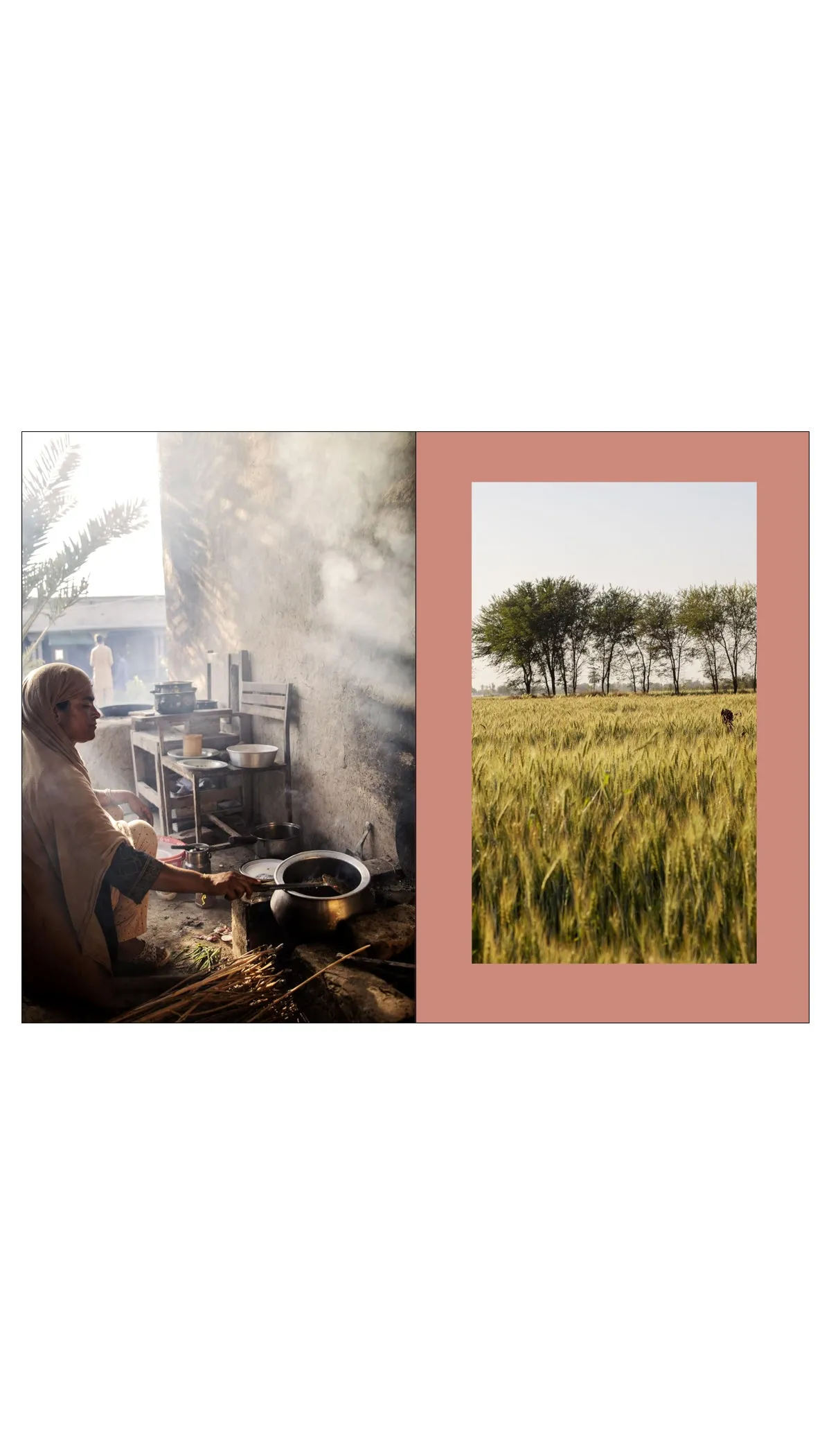 Pakistan: Recipes and Stories from Home Kitchens, Restaurants, and Roadside Stands