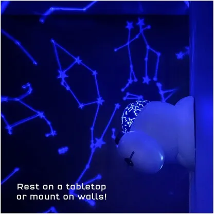 Planetarium Projector