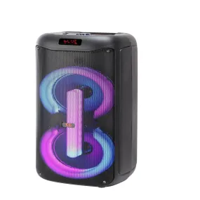 Portable Bluetooth Double Woofer Speaker 8 inch with Wireless Mic