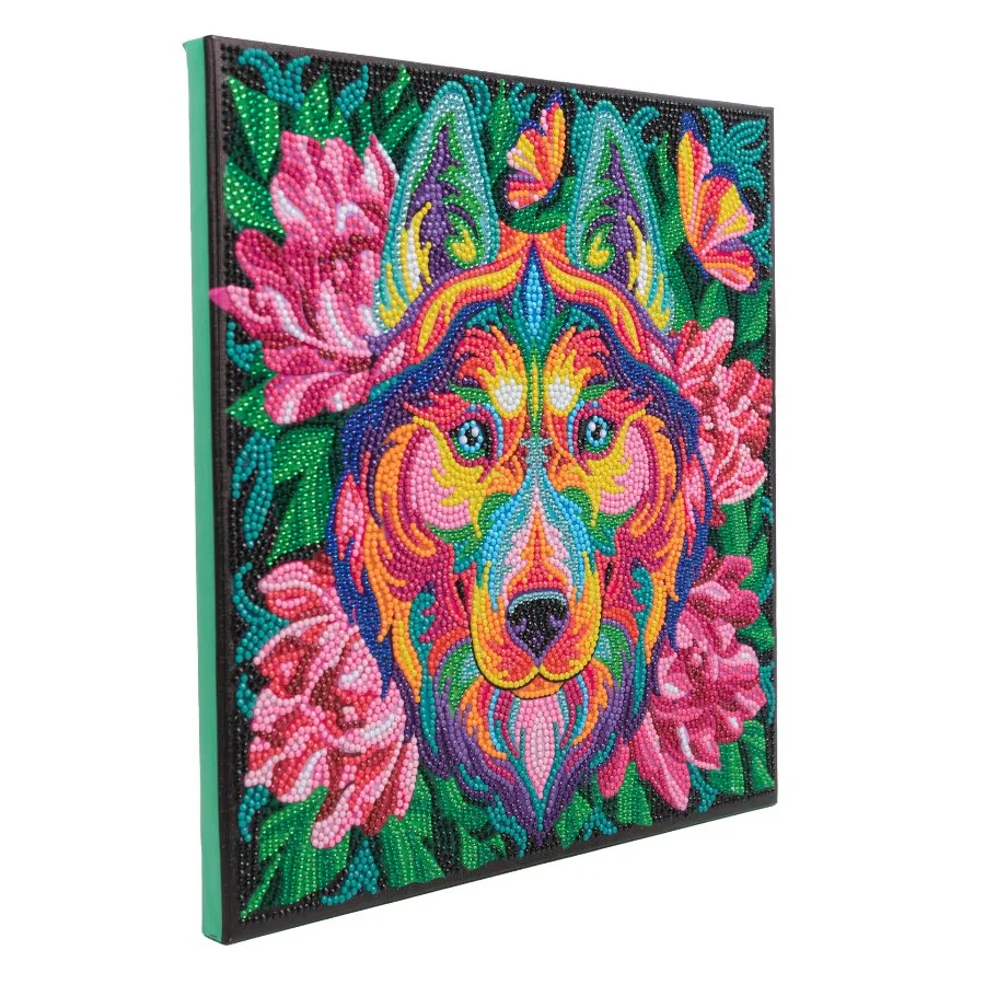 "Rainbow Husky" Crystal Art Canvas 30x30cm