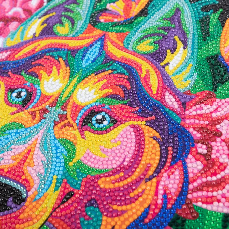 "Rainbow Husky" Crystal Art Canvas 30x30cm