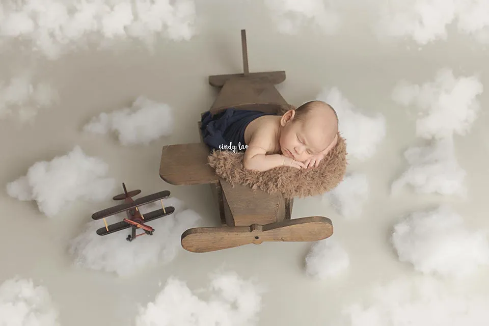 Rustic Airplane