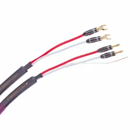 Tchernov Cable CLASSIC XS Speaker Cables