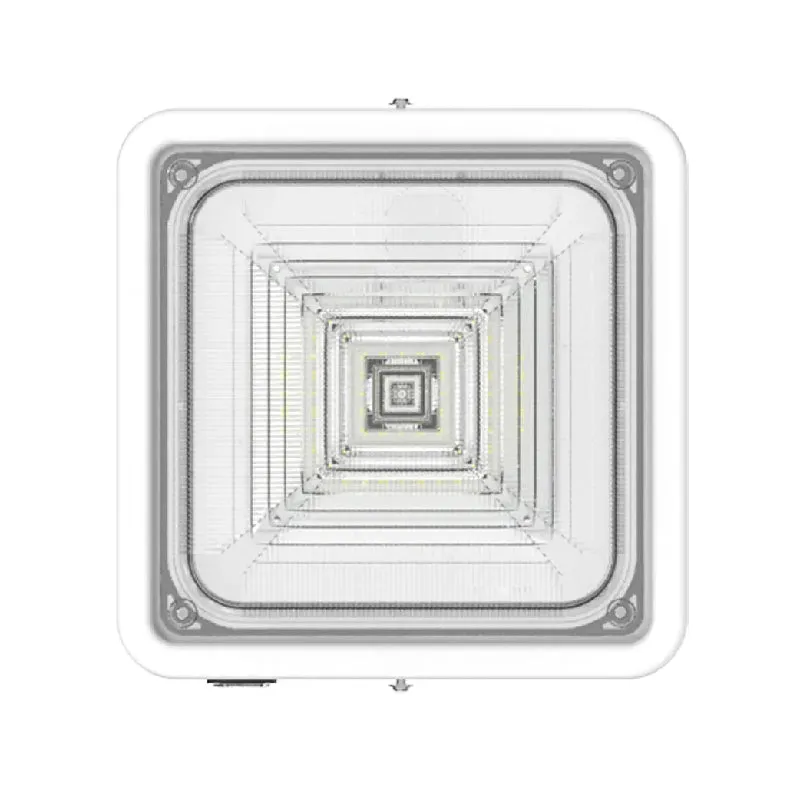Westgate CXES 10W/20W/30W Square New Concept Garage and Ceiling Lights